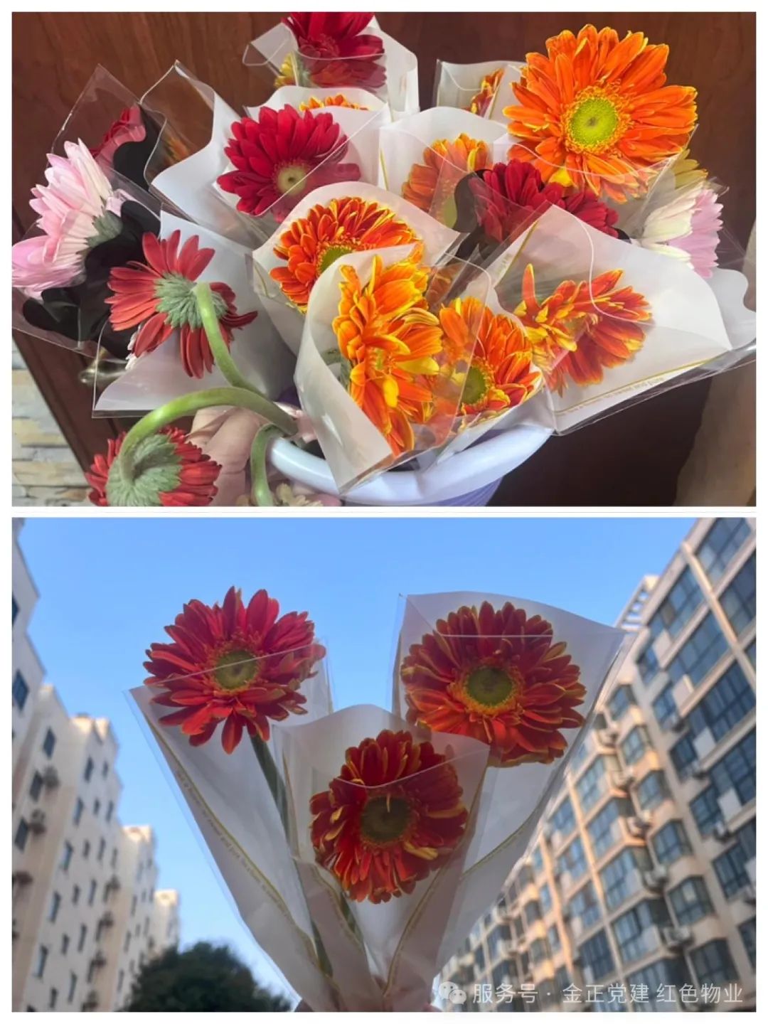 金正物业丨“一路繁花 芳华绽放”金正物业开展女神节主题活动